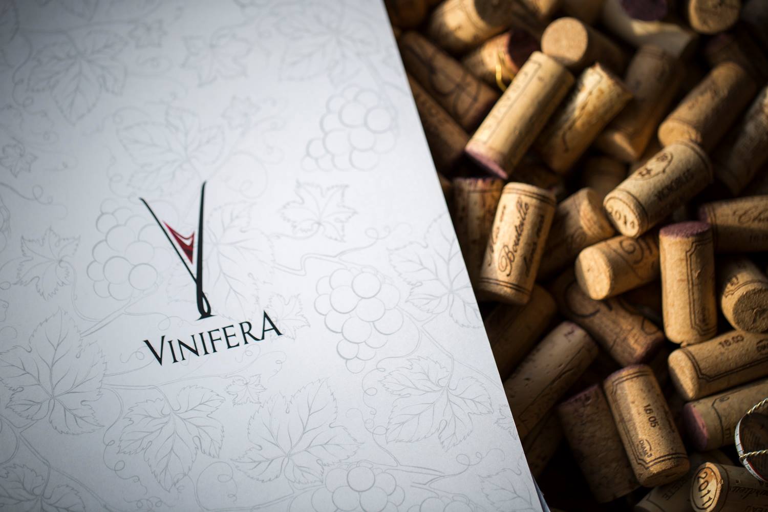 Vinifera